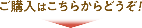 ご購入はこちらからどうぞ！