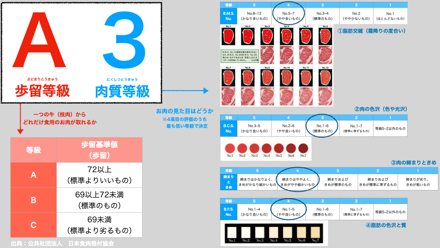 格付け等級