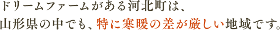 ドリームファームがある河北町は、山形県の中でも、特に寒暖の差が厳しい地域です。