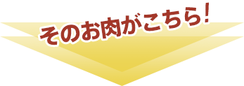 そのお肉がこちら