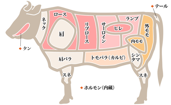 牛肉の部位の図解