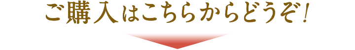 ご購入はこちらからどうぞ