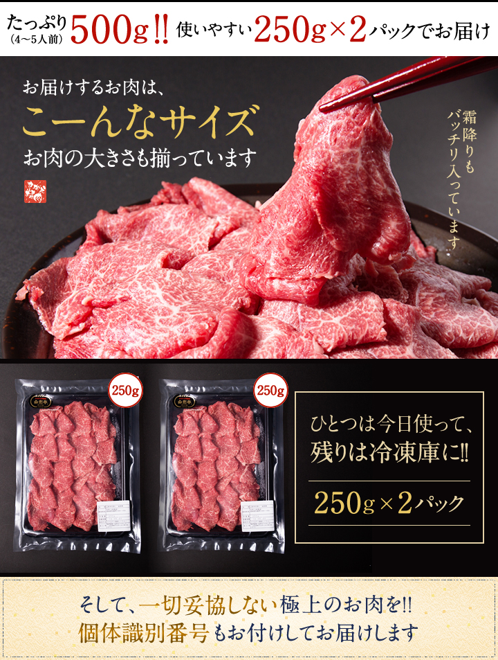 たっぷり500g!!使いやすい250g×2パックでお届け