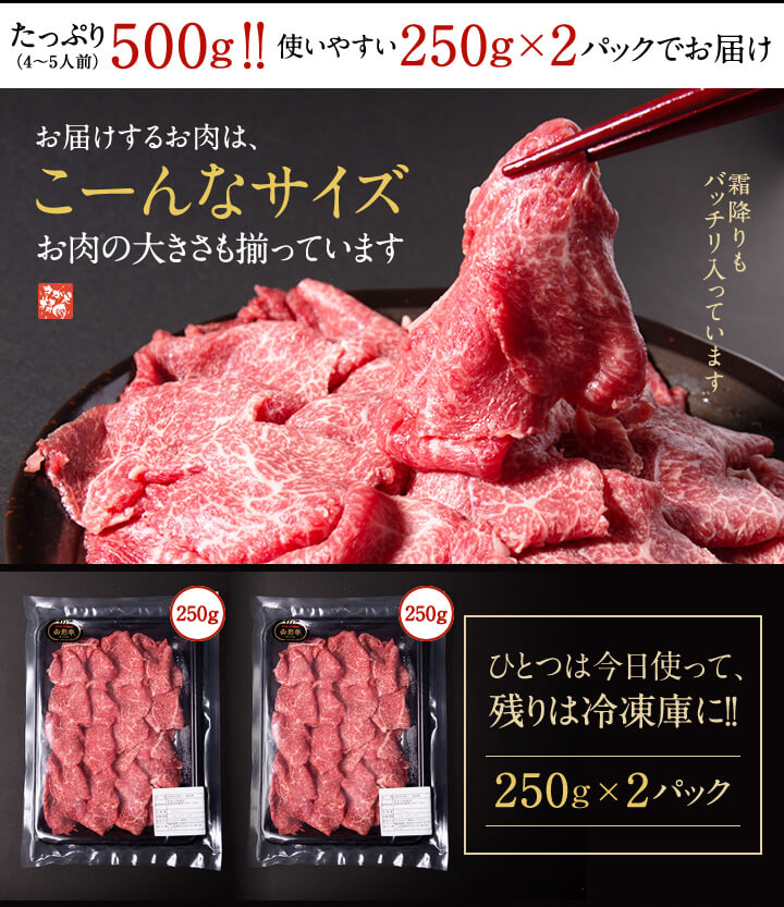 たっぷり500g!!使いやすい250g×2パックでお届け