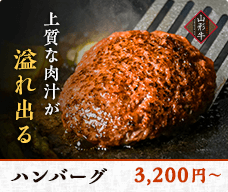 ハンバーグ 3,200円〜