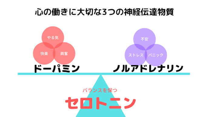 心の働きに大切な3つの物質はドーパミン、ノルアドレナリン、セロトニン。