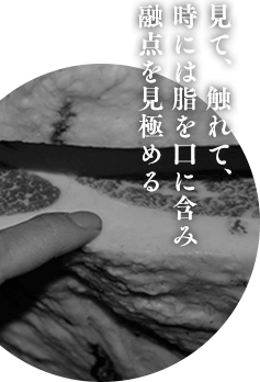 見て、触れて、時には脂を口に含み融点を見極める